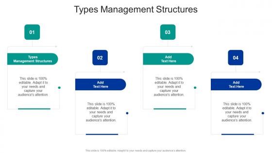 Types Management Structures In Powerpoint And Google Slides Cpb
