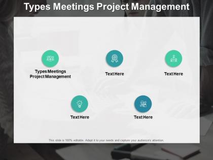 Types meetings project management ppt powerpoint presentation images cpb