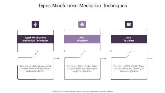 Types Mindfulness Meditation Techniques In Powerpoint And Google Slides Cpb