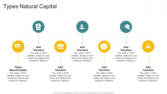 Types Natural Capital In Powerpoint And Google Slides Cpb