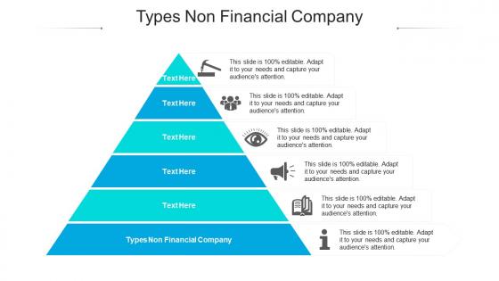 Types non financial company ppt powerpoint presentation pictures display cpb