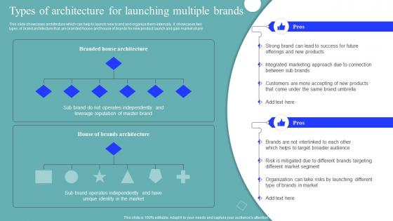 Types Of Architecture For Launching Brand Market And Launch Strategy MKT SS V