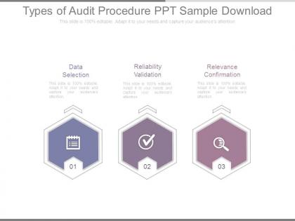Types of audit procedure ppt sample download