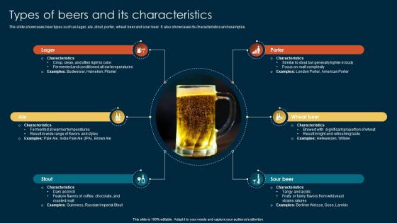 Types Of Beers And Its Characteristics Bridging Performance Gaps Through Hospitality DTE SS