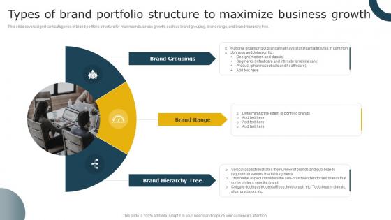 Types Of Brand Portfolio Structure To Maximize Business Aligning Brand Portfolio Strategy With Business