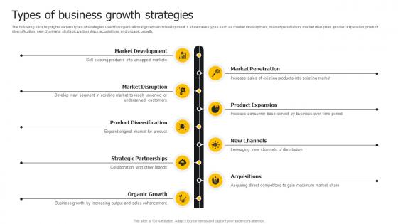 Types Of Business Growth Strategies Developing Strategies For Business Growth And Success