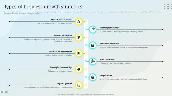 Types Of Business Growth Strategies Steps For Business Growth Strategy SS