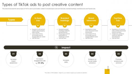 Types Of TikTok Ads To Post Creative Content Revenue Boosting Marketing Plan Strategy SS V