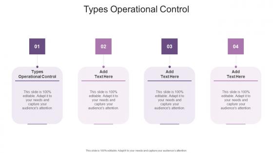 Types Operational Control In Powerpoint And Google Slides Cpb