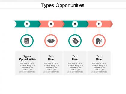 Types opportunities ppt powerpoint presentation styles information cpb