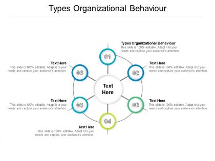 Types organizational behaviour ppt powerpoint presentation professional example cpb