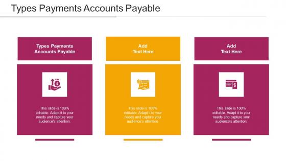 Types Payments Accounts Payable Ppt Powerpoint Presentation Slides Brochure Cpb
