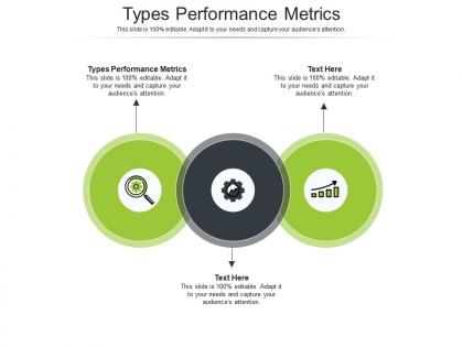 Types performance metrics ppt powerpoint presentation icon skills cpb