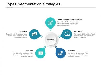Types segmentation strategies ppt powerpoint presentation information cpb