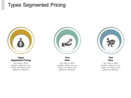 Types segmented pricing ppt powerpoint presentation model show cpb