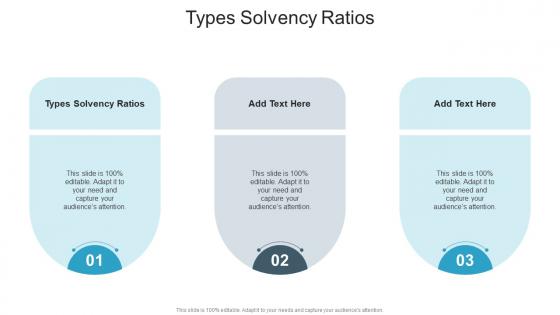Types Solvency Ratios In Powerpoint And Google Slides Cpb