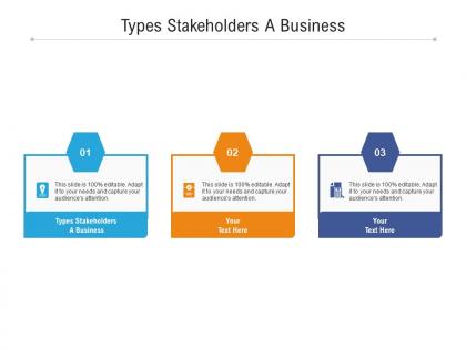 Types stakeholders a business ppt powerpoint presentation infographics influencers cpb