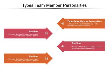 Types team member personalities ppt powerpoint presentation professional styles cpb