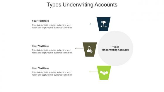 Types underwriting accounts ppt powerpoint presentation professional examples cpb