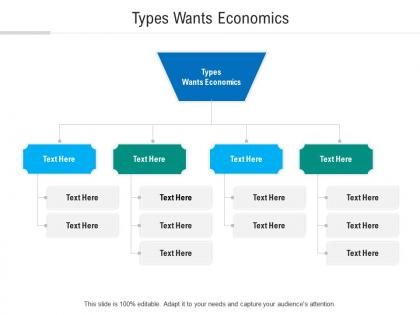 Types wants economics ppt powerpoint presentation infographics rules cpb