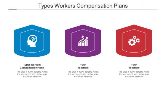 Types Workers Compensation Plans Ppt Powerpoint Presentation Portfolio Show Cpb