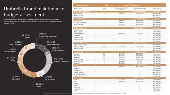 Umbrella Brand Maintenance Budget Assessment Product Corporate And Umbrella Branding
