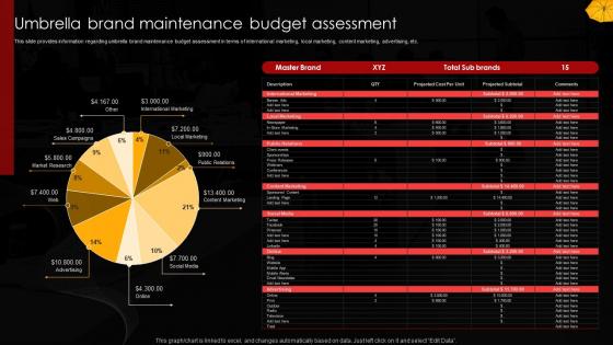 Umbrella Brand Maintenance Budget Assessment Umbrella Branding To Manage Brands Family