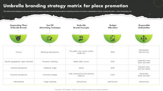 Umbrella Branding Strategy Matrix For Place Promotion