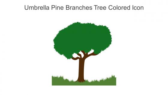 Umbrella Pine Branches Tree Colored Icon In Powerpoint Pptx Png And Editable Eps Format