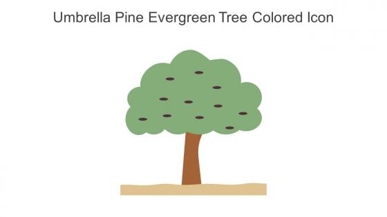 Umbrella Pine Evergreen Tree Colored Icon In Powerpoint Pptx Png And Editable Eps Format