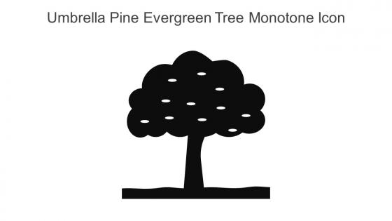 Umbrella Pine Evergreen Tree Monotone Icon In Powerpoint Pptx Png And Editable Eps Format