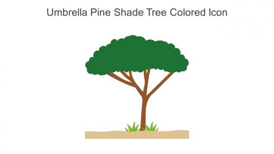 Umbrella Pine Shade Tree Colored Icon In Powerpoint Pptx Png And Editable Eps Format