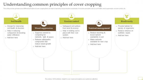 Understanding Common Principles Of Cover Cropping Complete Guide Of Sustainable Agriculture Practices