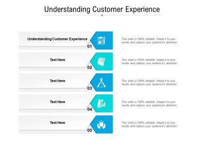 Understanding customer experience ppt powerpoint presentation infographics cpb