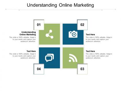 Understanding online marketing ppt powerpoint presentation icon skills cpb