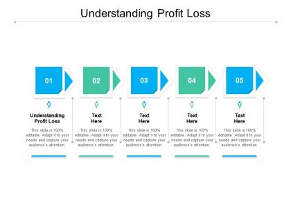 Understanding profit loss ppt powerpoint presentation model sample cpb