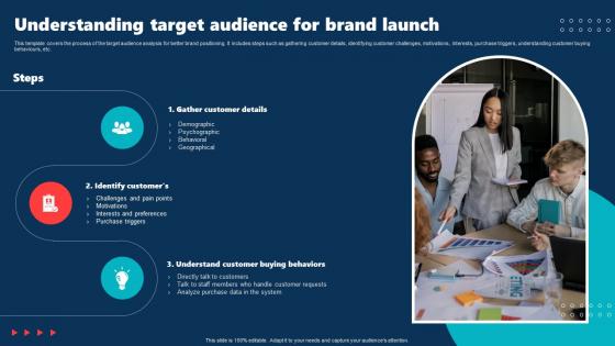 Understanding Target Audience For Brand Launch Internal Brand Rollout Plan