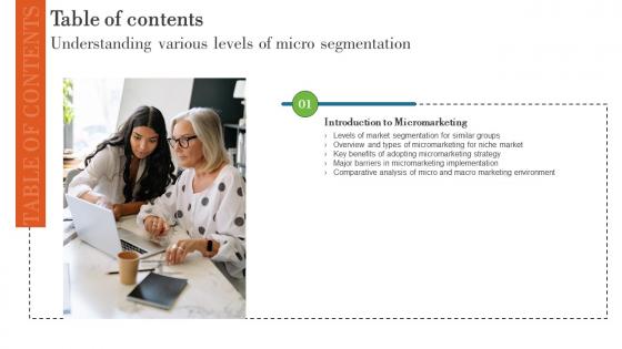 Understanding Various Levels Of Micro Segmentation Table Of Contents MKT SS V