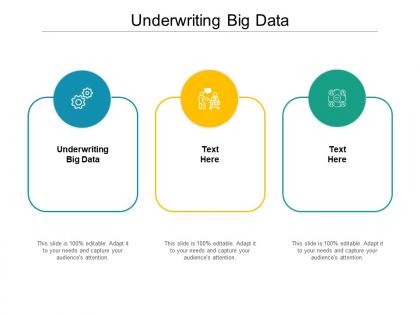 Underwriting big data ppt powerpoint presentation summary gridlines cpb
