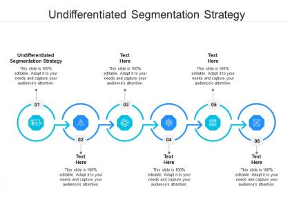 Undifferentiated segmentation strategy ppt powerpoint presentation ideas design templates cpb