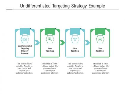 Undifferentiated targeting strategy example ppt powerpoint presentation icon slide download cpb