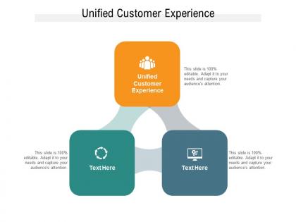 Unified customer experience ppt powerpoint presentation model summary cpb