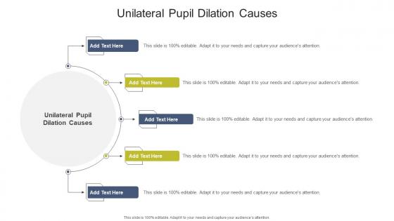 Unilateral Pupil Dilation Causes In Powerpoint And Google Slides Cpb