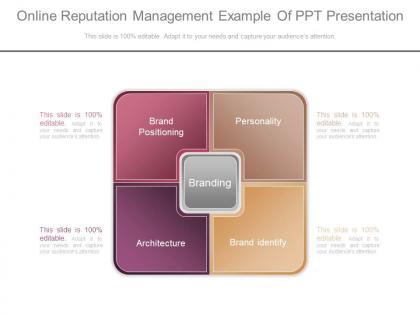 Unique online reputation management example of ppt presentation