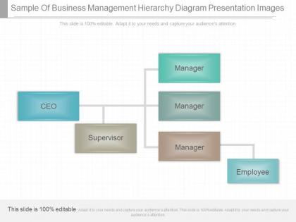 Unique sample of business management hierarchy diagram presentation images
