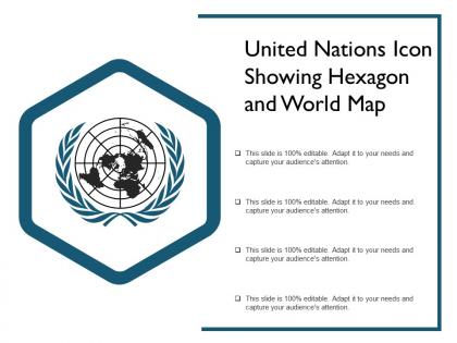 United nations icon showing hexagon and world map