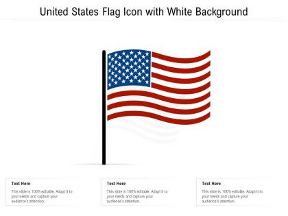 United states flag icon with white background