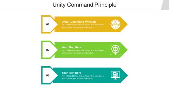 Unity command principle ppt powerpoint presentation file templates cpb