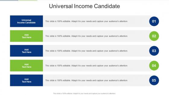 Universal Income Candidate In Powerpoint And Google Slides Cpb