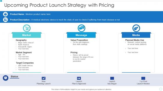 Upcoming product launch strategy with pricing